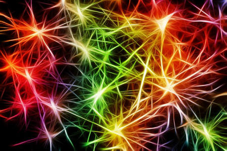 rete di neuroni